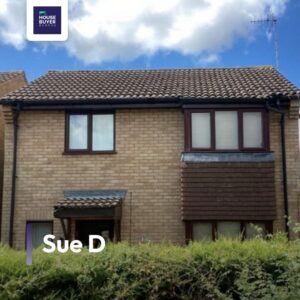 Sue D Feedback